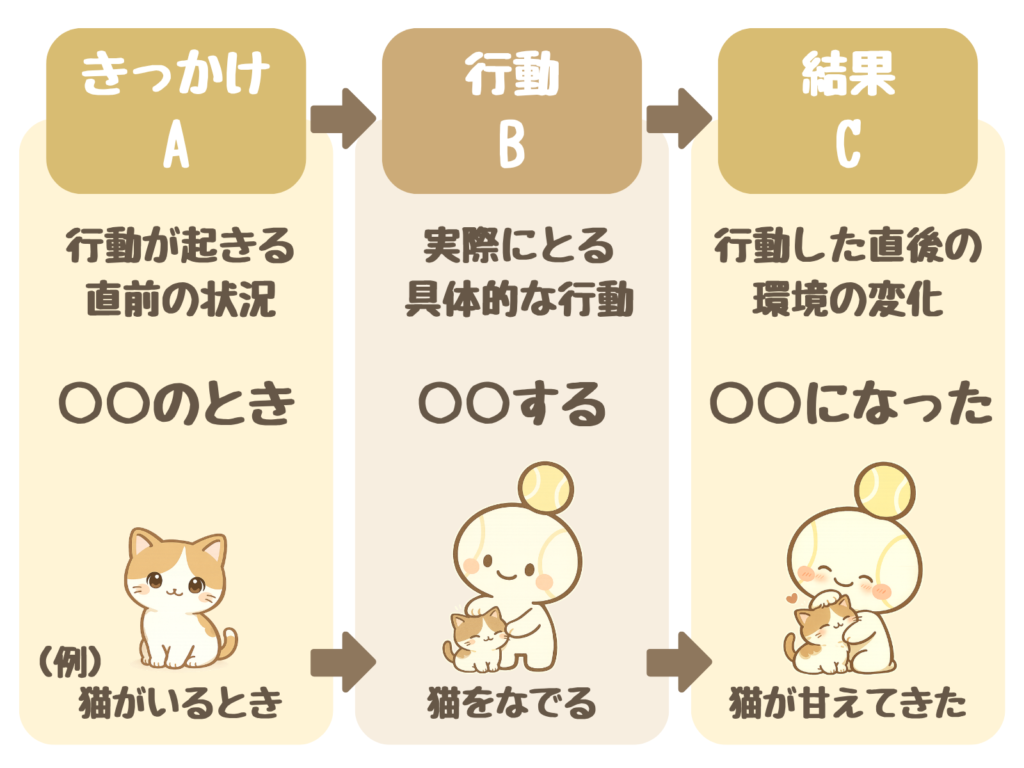 ABCモデル:きっかけ(A)行動が起きる直前の状況「○○のとき」→行動(B)実際にとる具体的な行動「○○する」→結果(C)行動した直後の環境の変化「○○になった」。例:猫がいるとき→猫をなでる→猫が甘えてきた